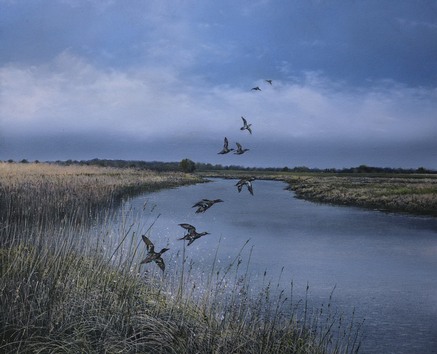 Garry Raymond-Pereira Teal on River 56x65cm Oil on Canvas